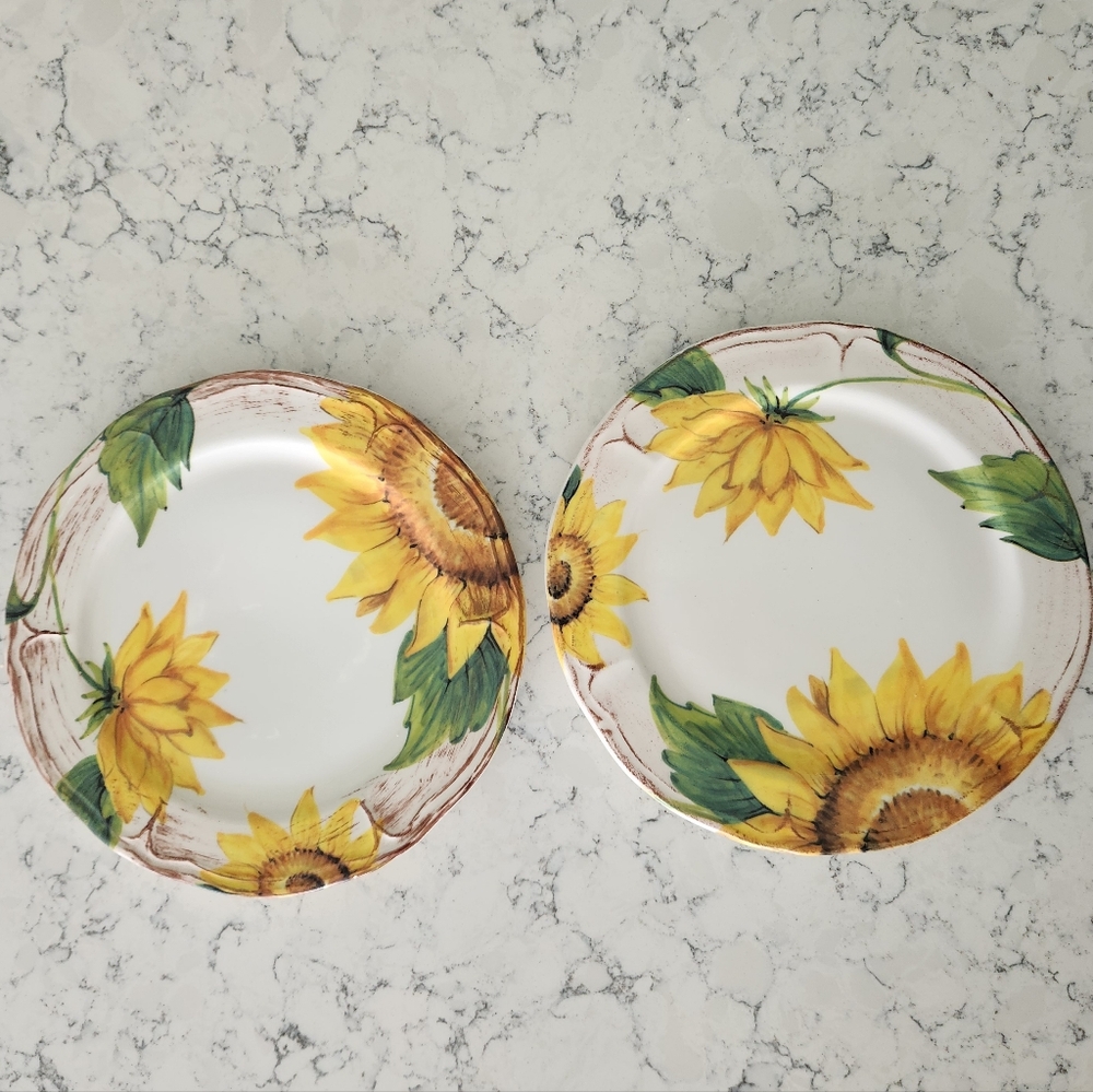 Sur La Table Italy Handcrafted Two Salad Plates Sunflower Rustic Cottage 8 Inch